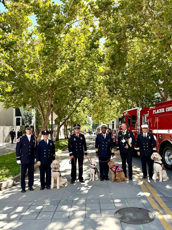 Memorial ceremony participation