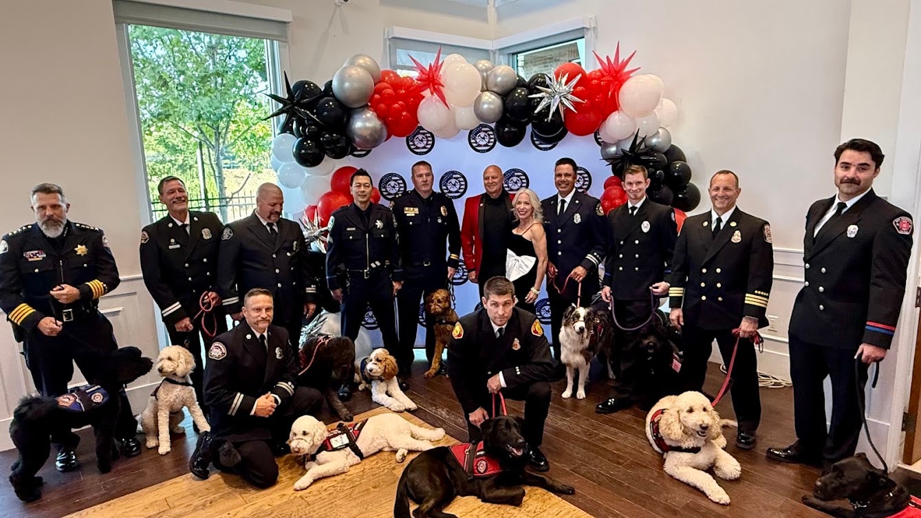A therapy dog offering comfort and healing — Scooby's legacy in action