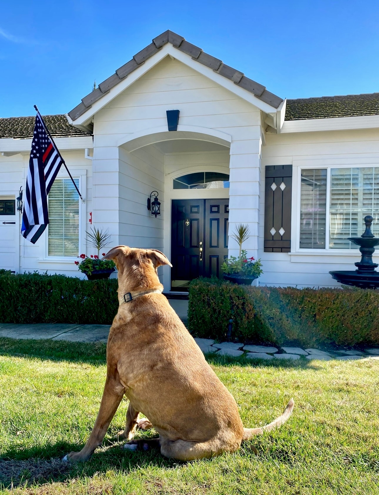 Firefighters, police officers, and EMS professionals — the heroes Paw Platoon serves