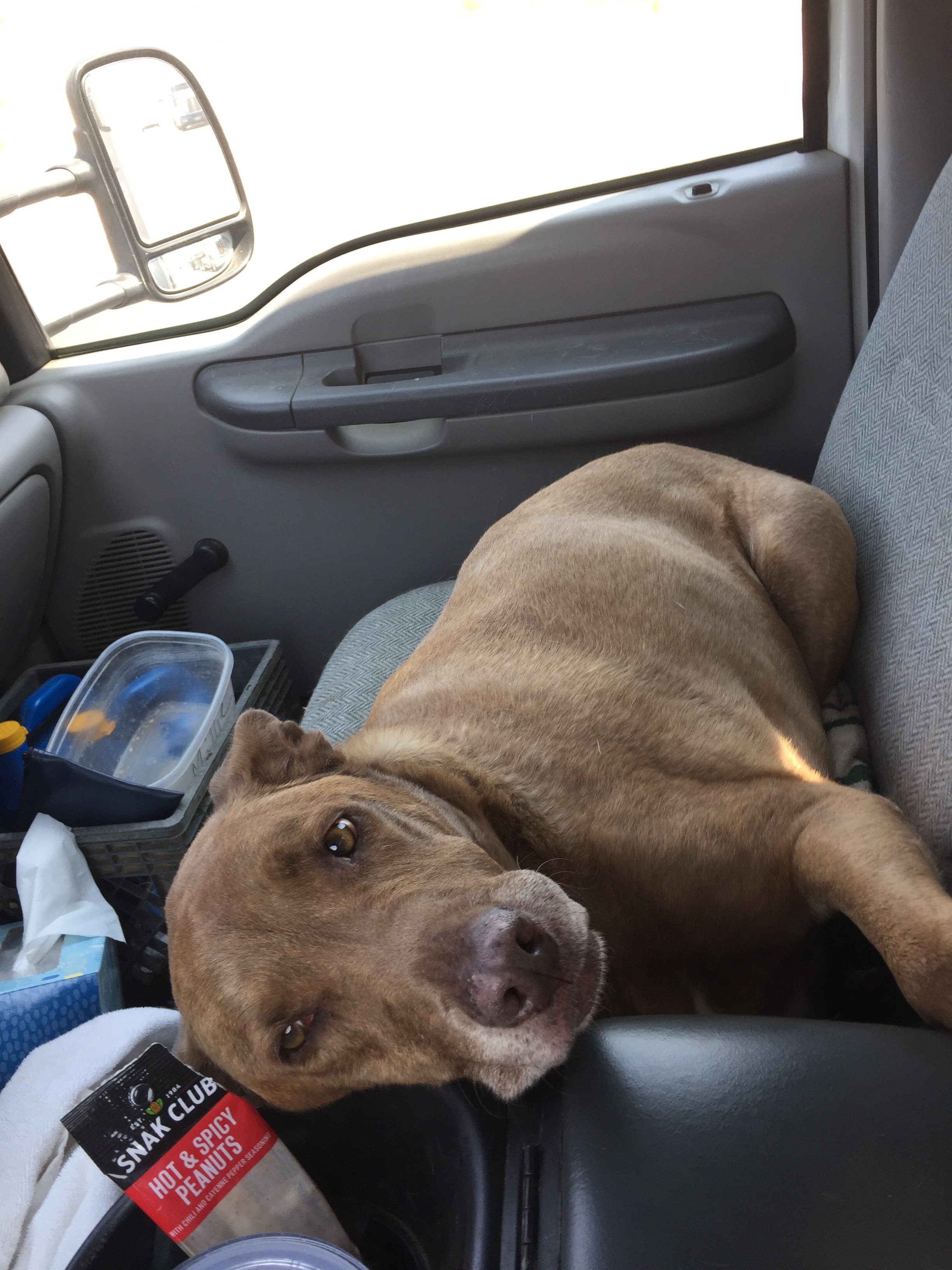 A first responder sharing a bond with their dog