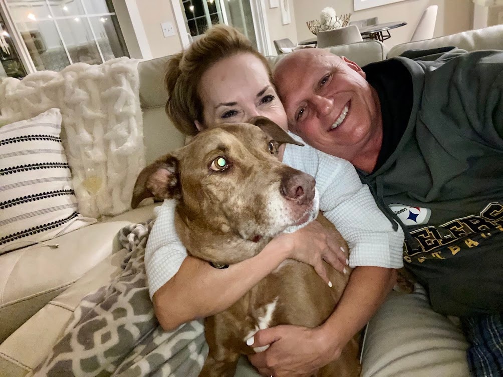 A dog resting its head on someone's lap — the quiet comfort only a dog can give