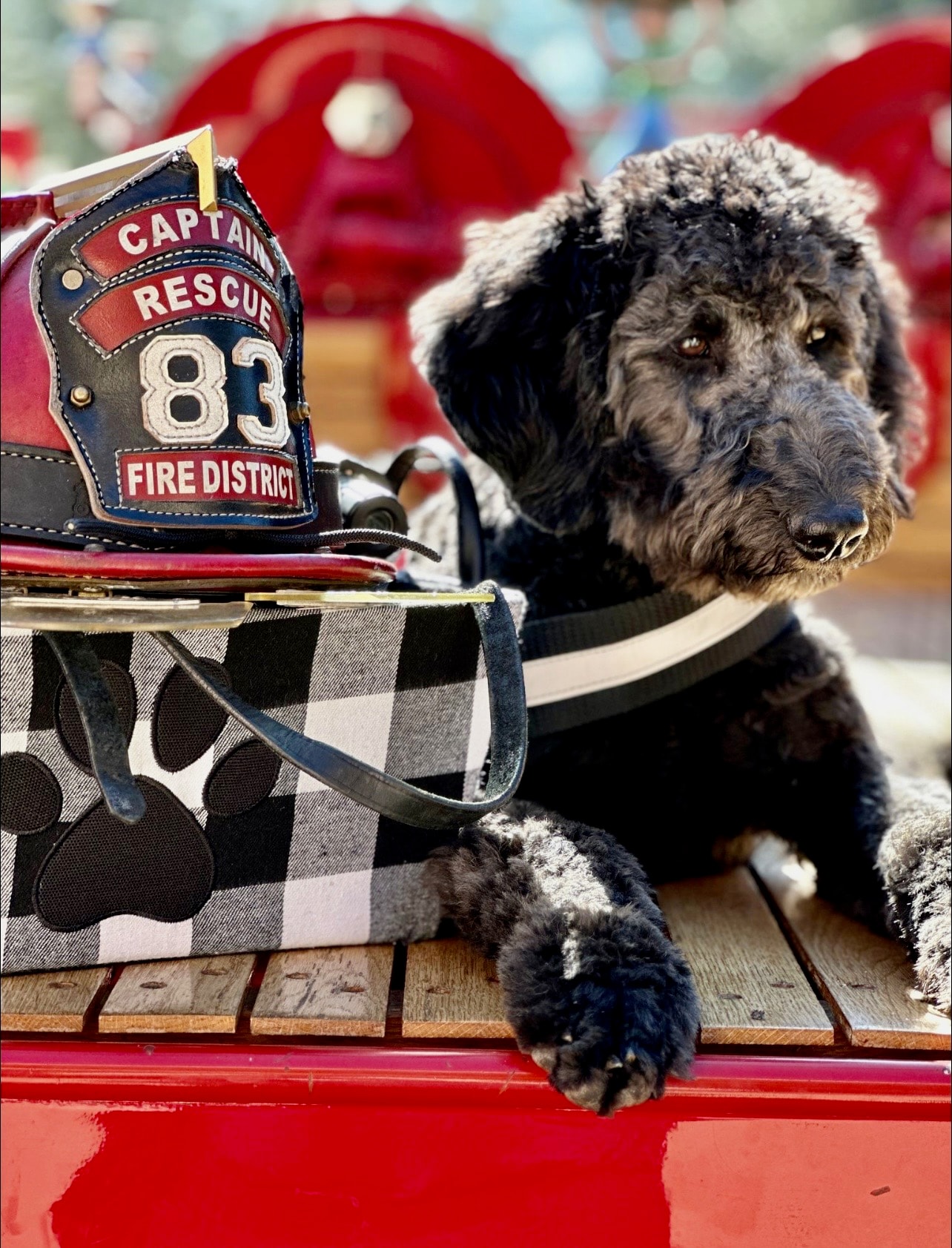 First responder and dog handler bonding outdoors