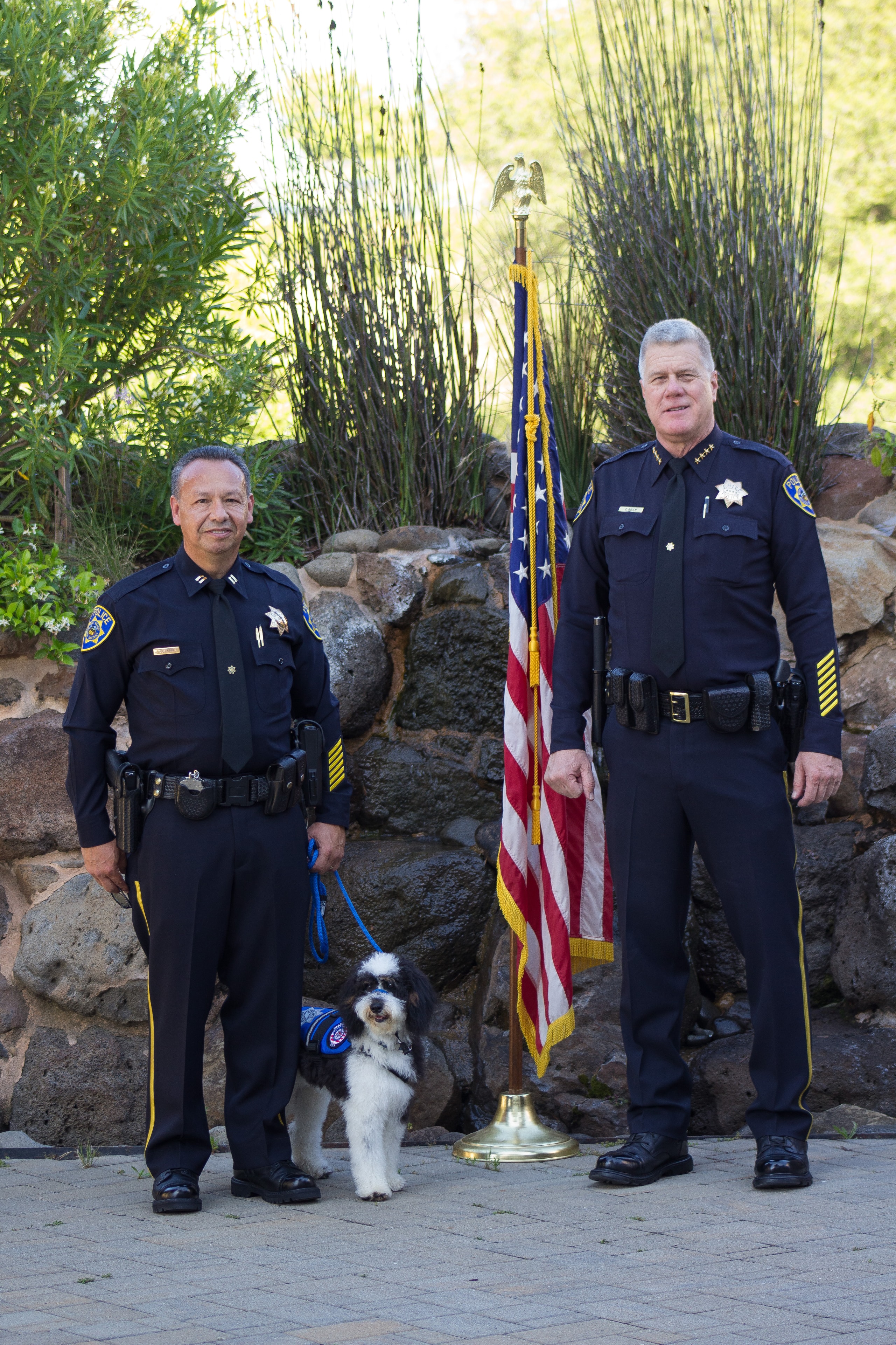 BEATRICE — Paw Platoon Placement therapy dog