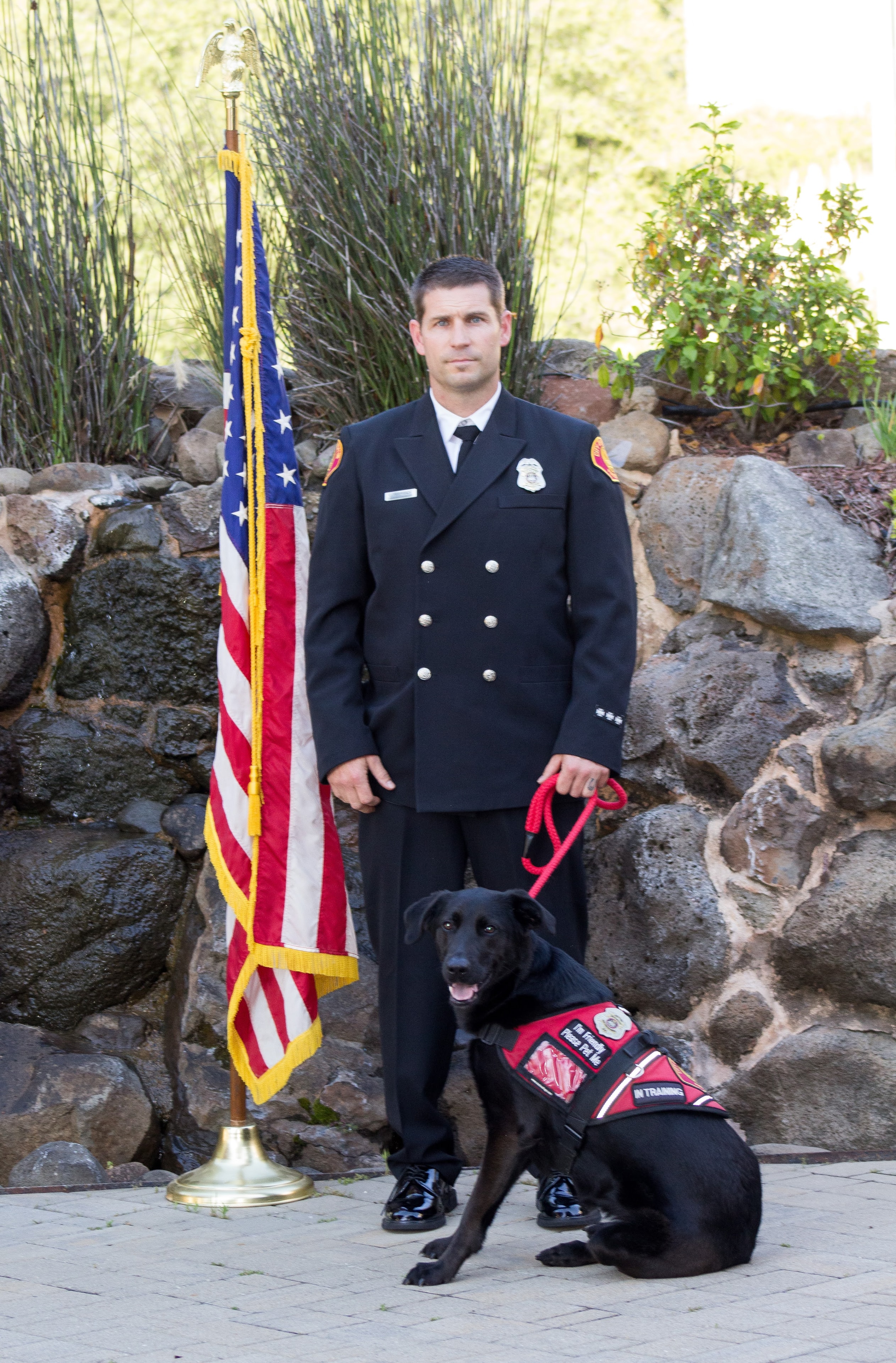 MAGGIE MAY — Paw Platoon Placement therapy dog