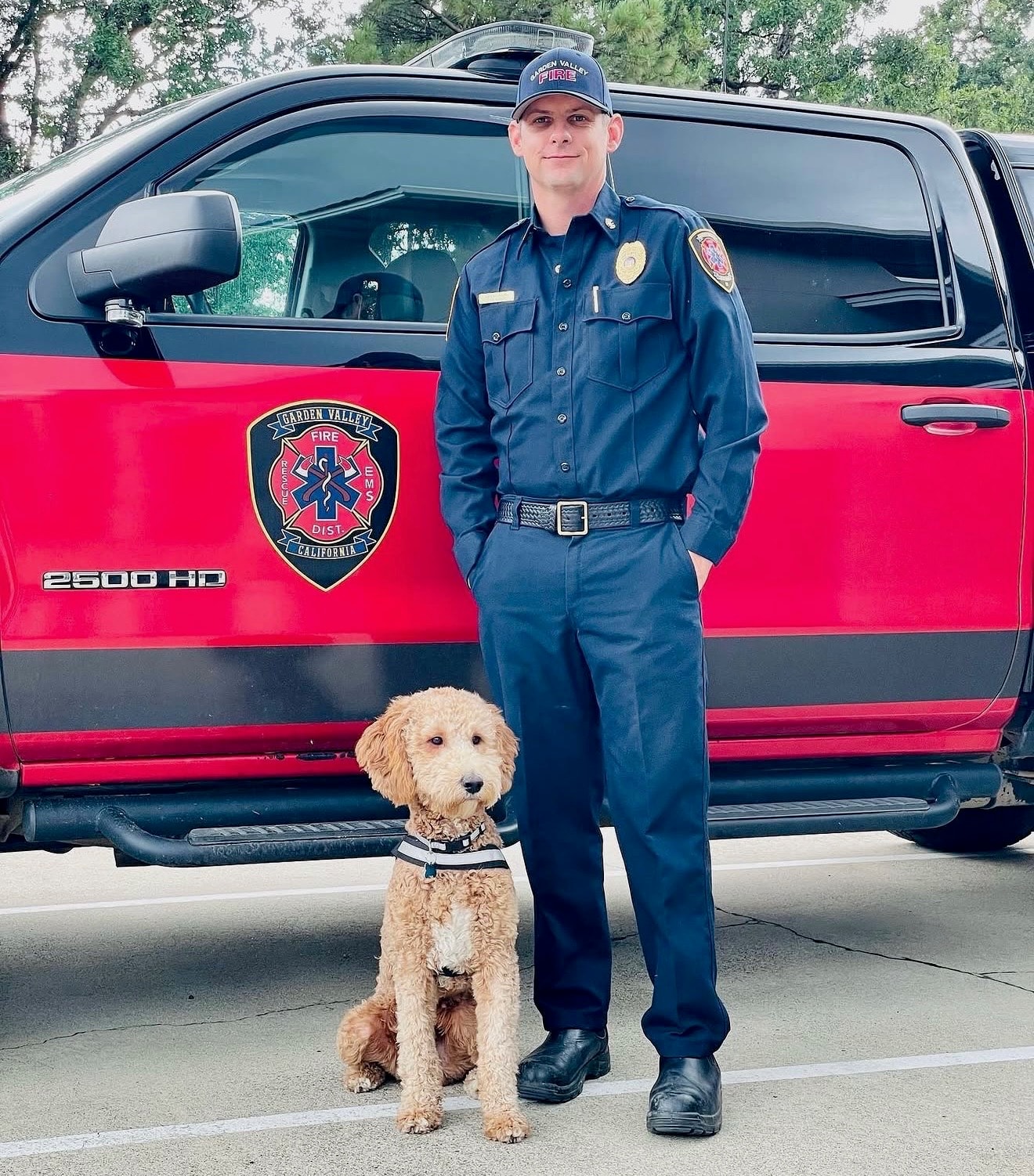ROY — Paw Platoon Placement therapy dog