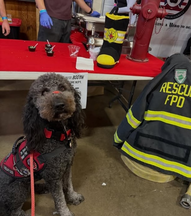 Ash in red Hearts 4 Heroes therapy vest — formal portrait