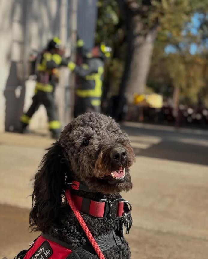 Ash smiling outdoors with firefighters training in the background