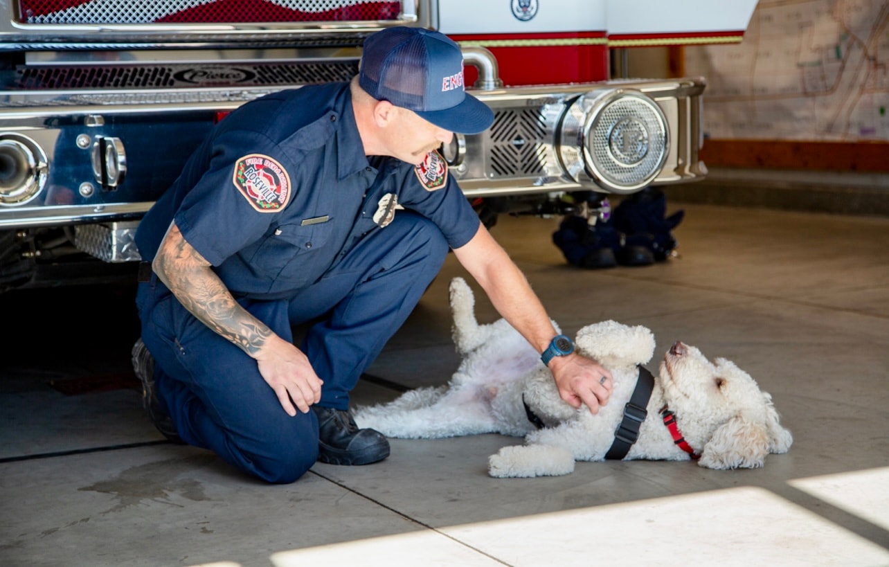 Engineer Alex Kleefeld petting Captain Charlie at Roseville Fire Station