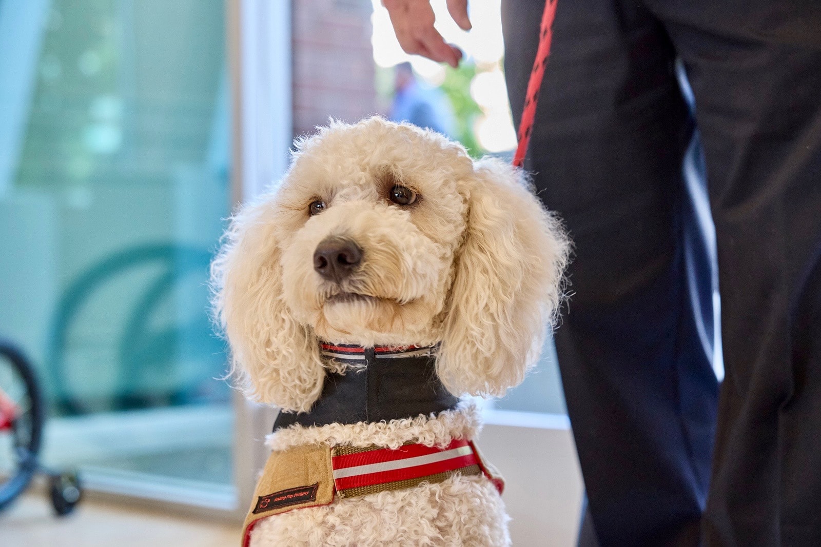 Captain Charlie wearing his Roseville Fire service vest — portrait