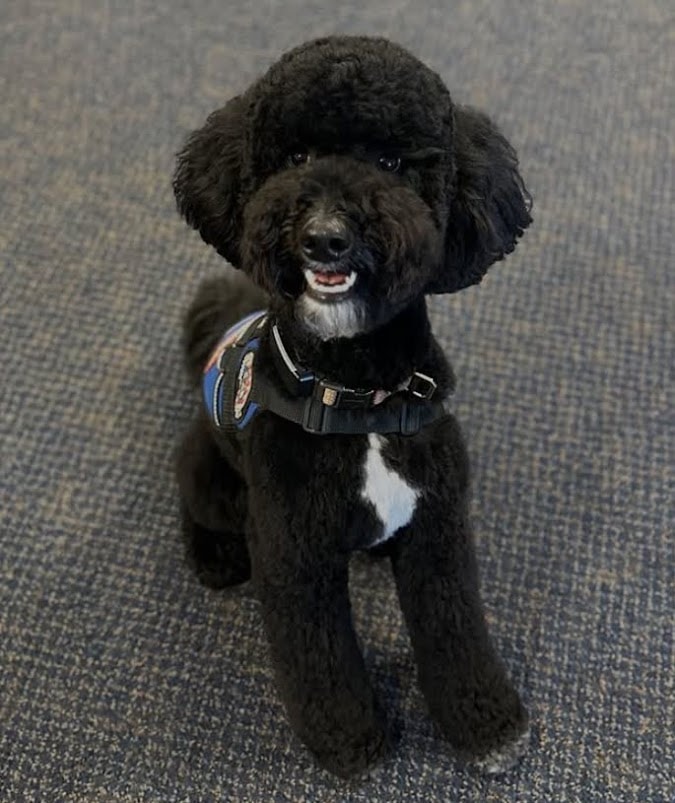 Mattis — photo 4