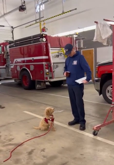 Roy's First Day — February 21, 2023 — Roy on the fire truck bumper with his handler
