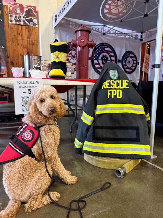 Shirley Lynn — therapy dog comforting first responder