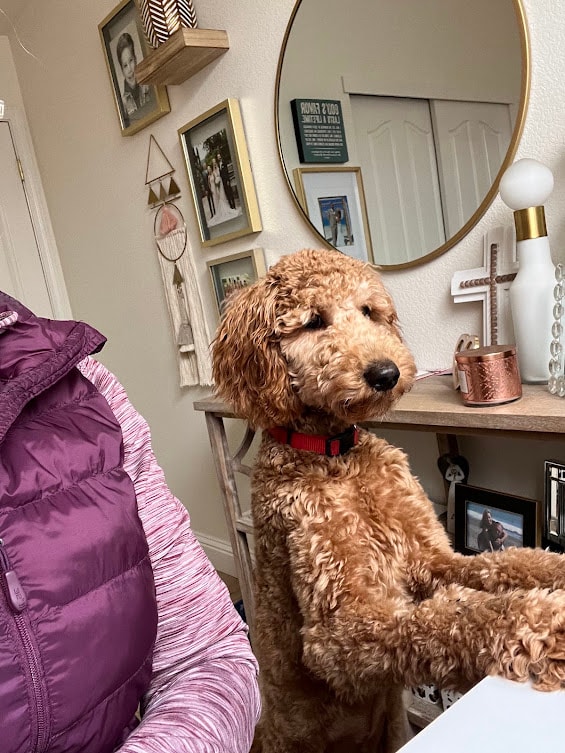 Shirley Lynn — with handler peer support