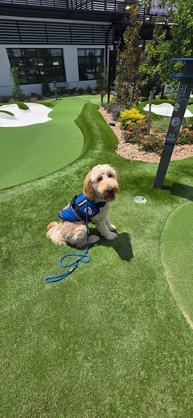 Tucker — photo 1