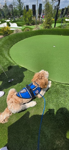 Tucker — photo 5