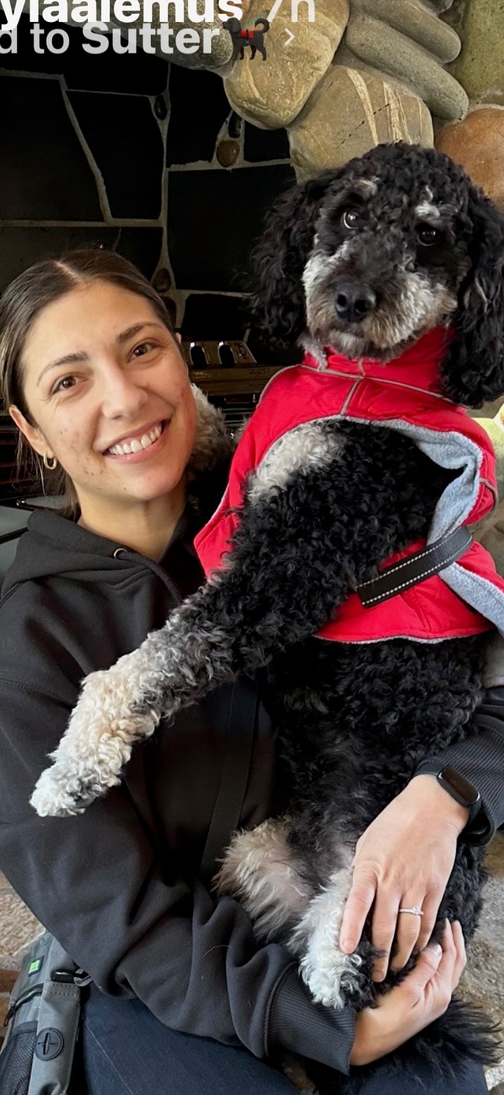 SUTTER — Paw Platoon Placement therapy dog